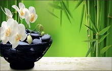 Feng-Shui Tips