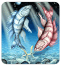 Pisces