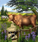 Taurus