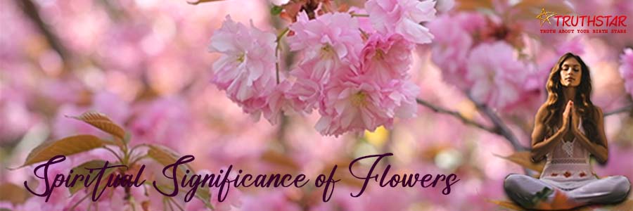 Significance of Flowers